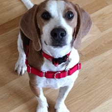 Buddy (Bubba) Home