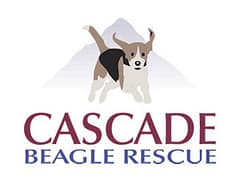 LOGO (1)