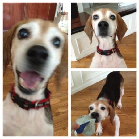 After a few months of foster care