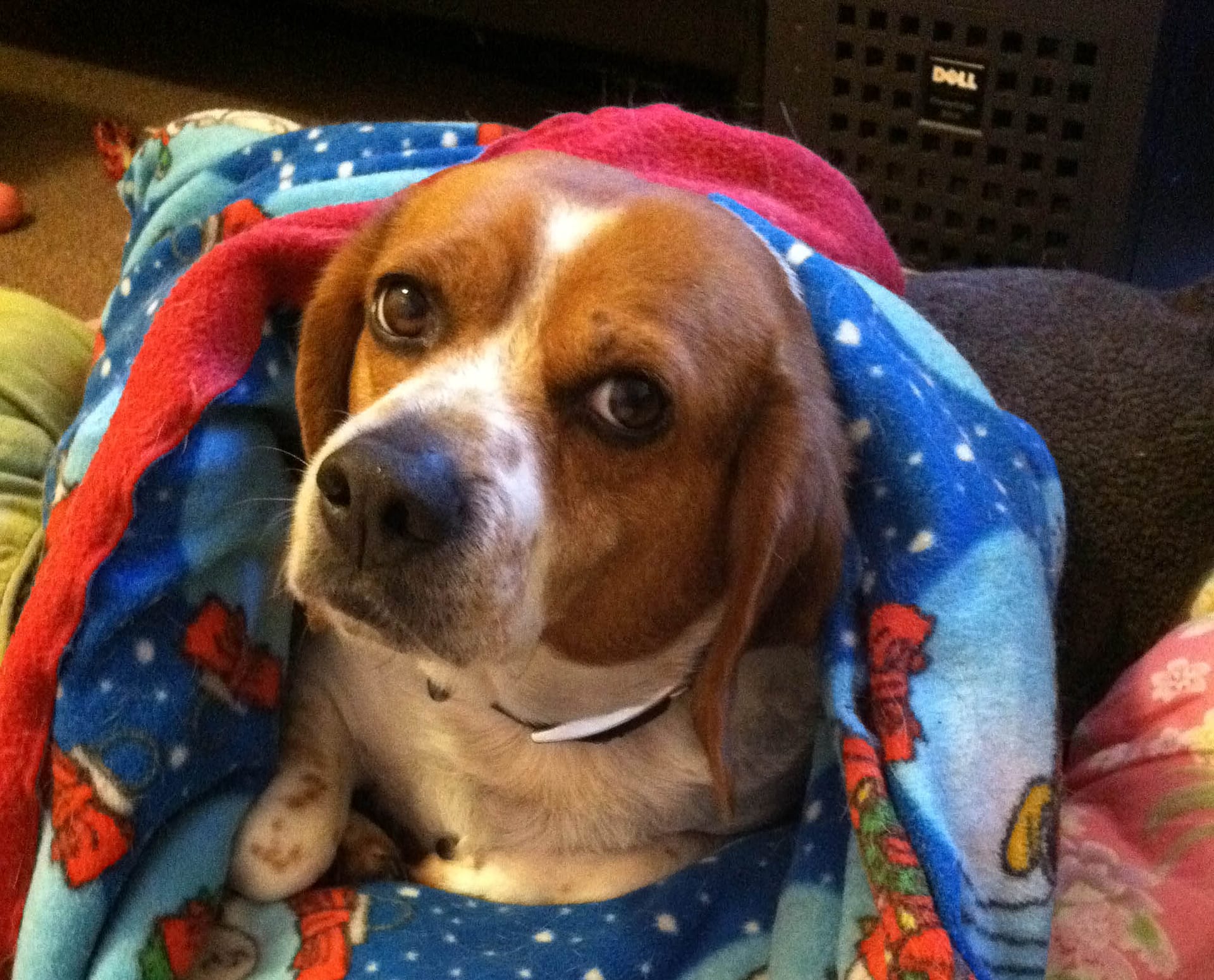 Ripley:  Case Update