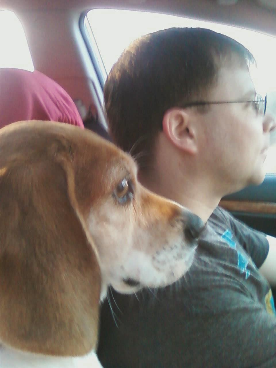 Betty:  Arrives at Cornell U Vet Hospital Today!