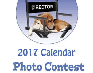 2017 Calendar Photo Contest!