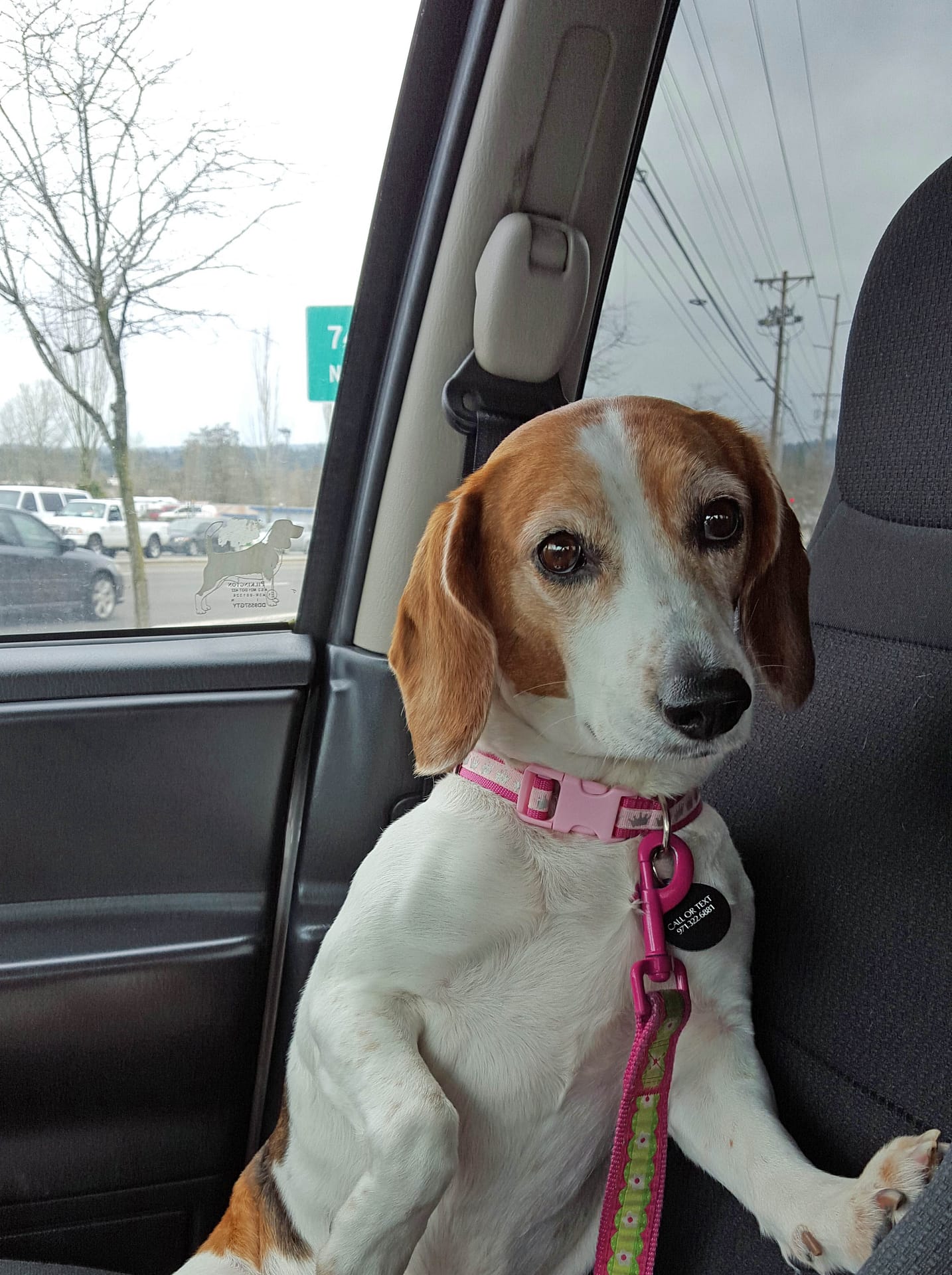 POD GPS leads us right to Belle!