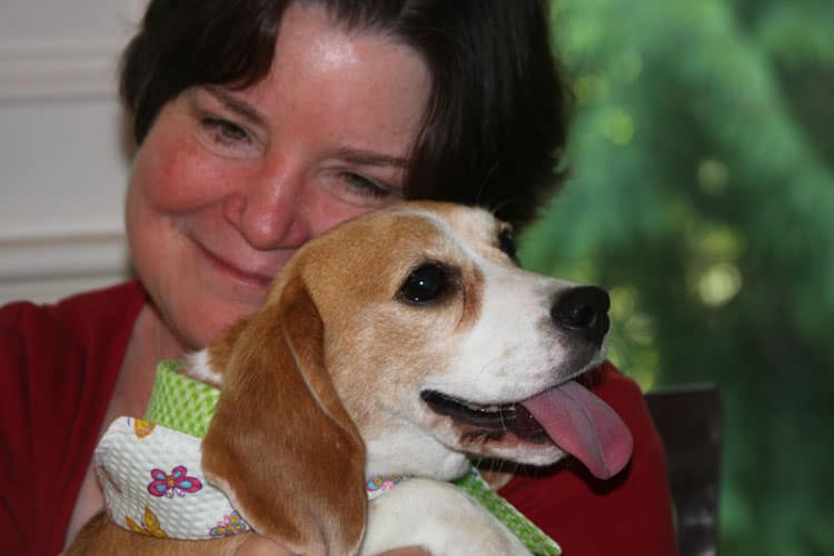 Smudge – Adopted!