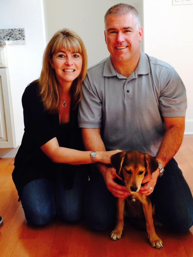 Violet  – Adopted!