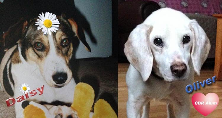 Oliver & Daisy Burns